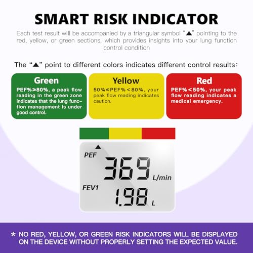 Digital Peak Flow Meter