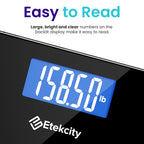 Digital Body Scale