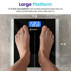 Digital Body Scale