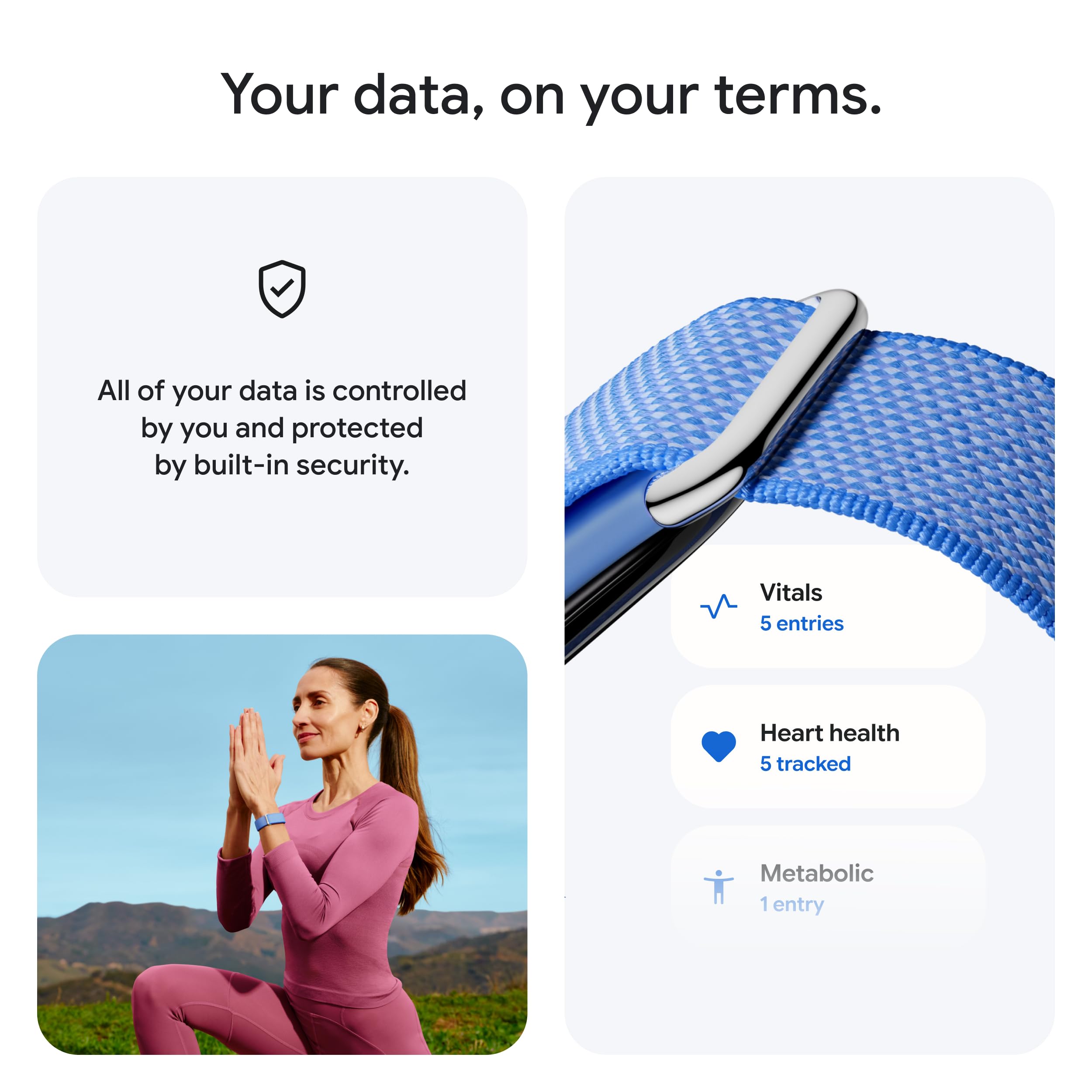 Fitbit Air