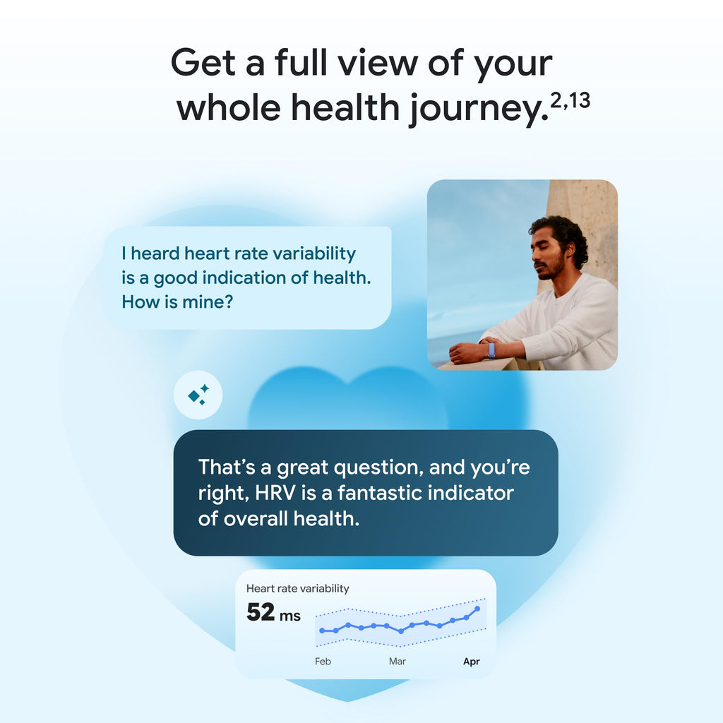 Fitbit Air