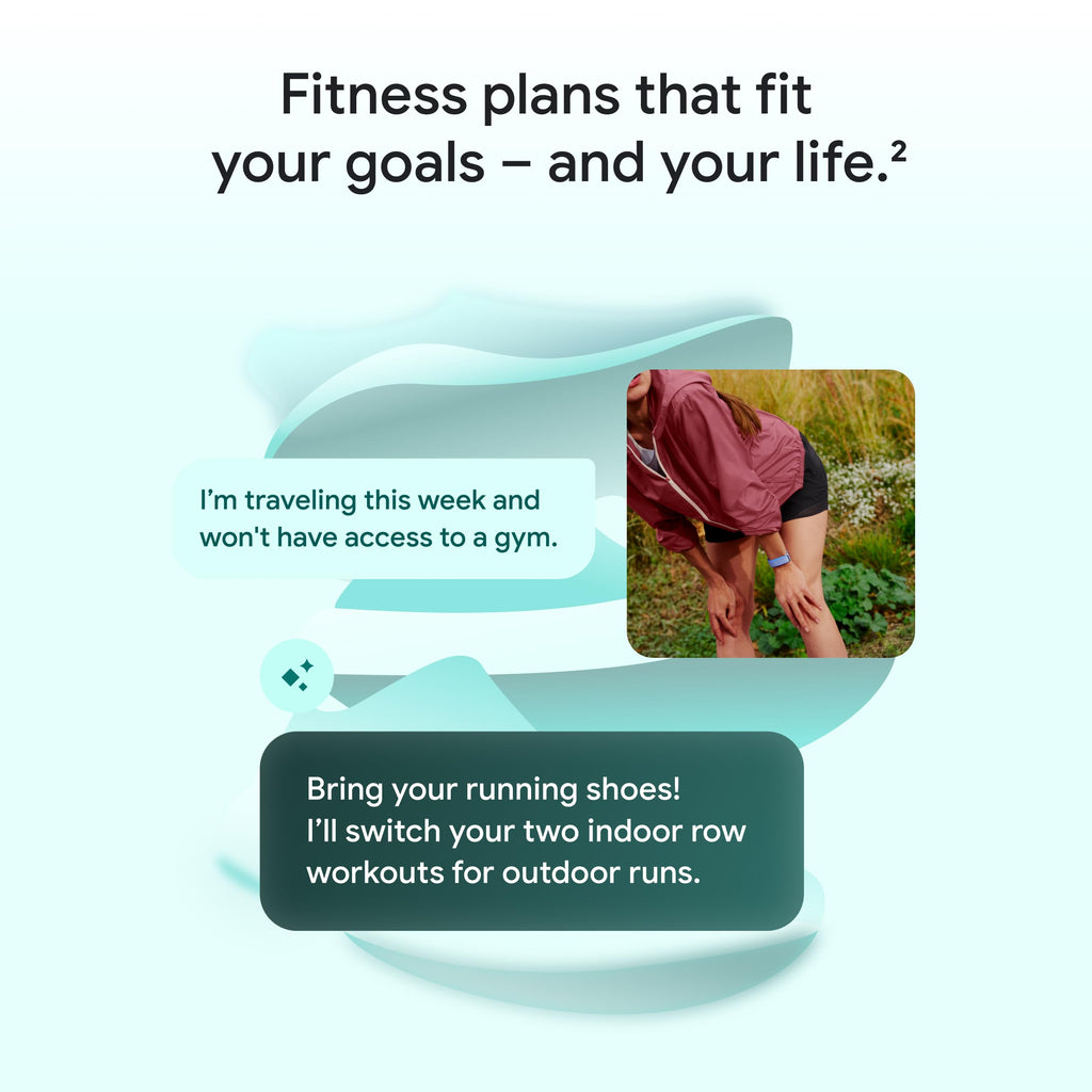Fitbit Air