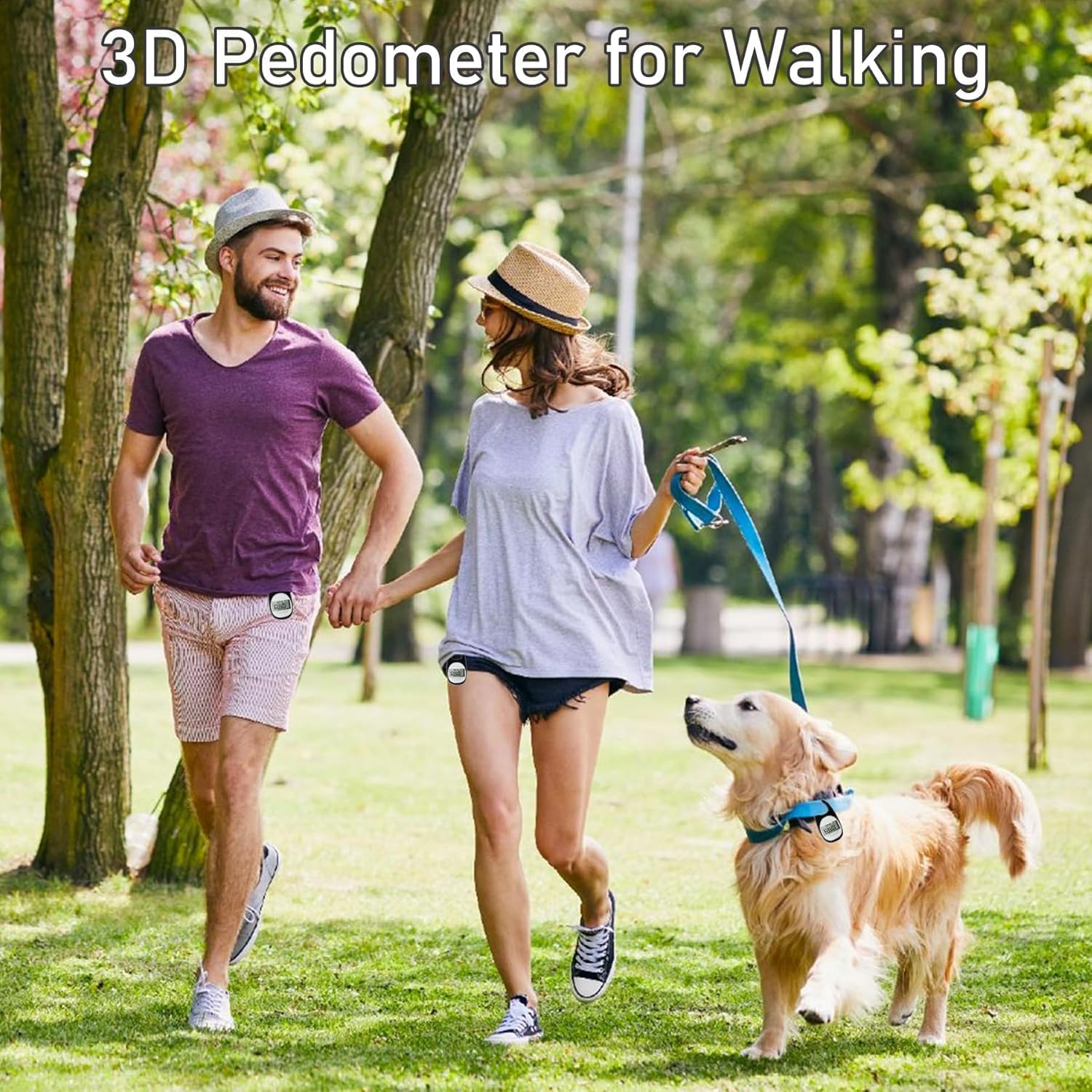Digital Pedometer