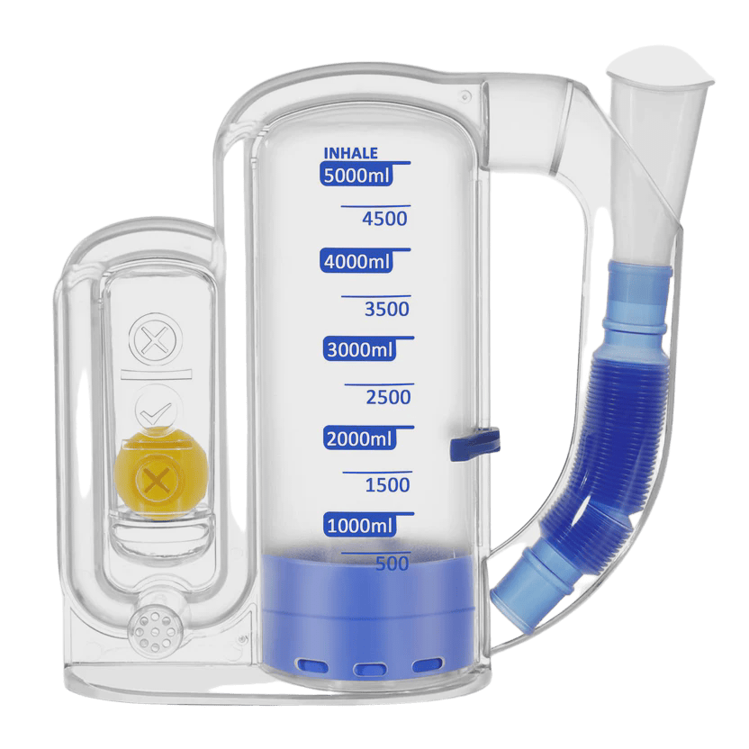 A daily view of your health signals, clear and calm.